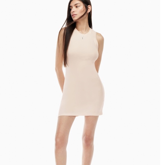 Aritzia Wilfred dunes dress pink - Picture 2 of 5